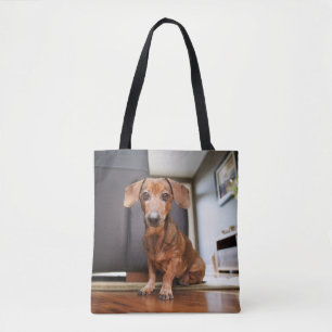 Bolso De Tela Animales de bebé más afectados   Mini Dachshund Pu