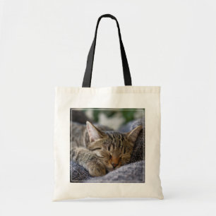 Bolso De Tela Animales de bebé más afectados   Tabby Kitten Slee
