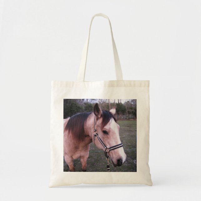 Bolso De Tela Ante (Frente)