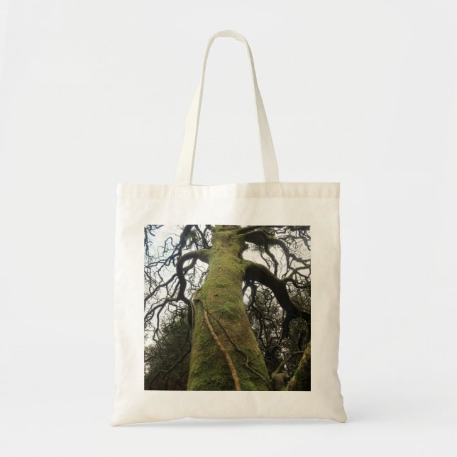 Bolso De Tela Árbol (Frente)