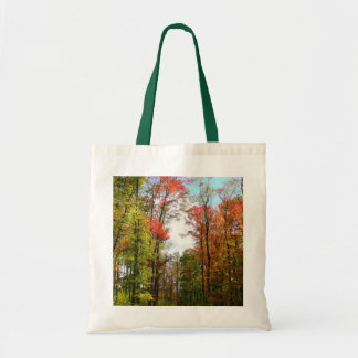 Bolso De Tela Árboles caídos y fotografía de la naturaleza otoña