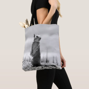 Bolso De Tela Ardilla