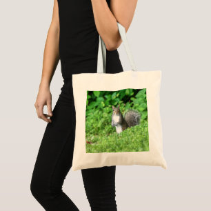 Bolso De Tela Ardilla