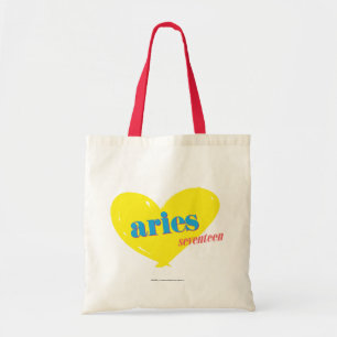 Bolso De Tela Aries 3