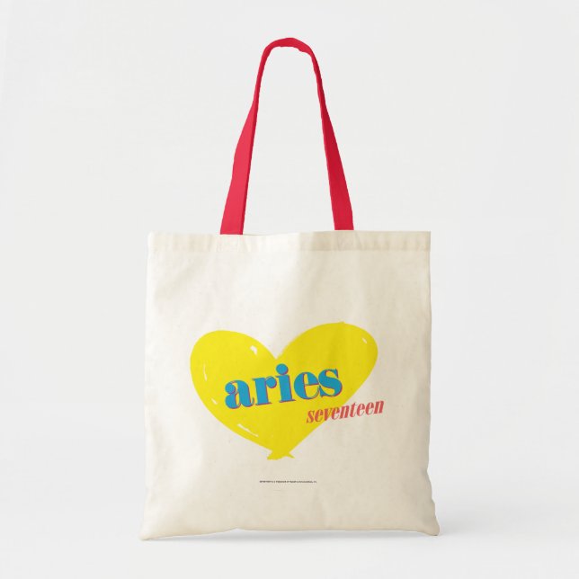 Bolso De Tela Aries 3 (Frente)