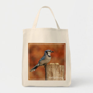 Bolso De Tela Arrendajo azul