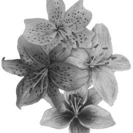 Bolso De Tela arte contemporáneo floral blanco y negro