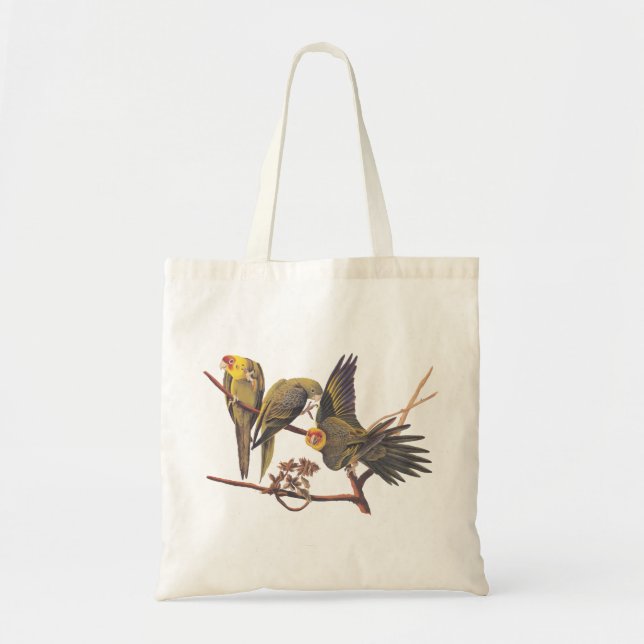 Bolso De Tela Audubon Carolina Parakeet Trio T-Shirt (Frente)
