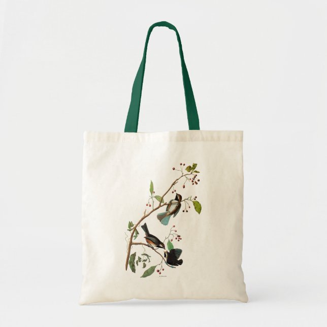 Bolso De Tela Audubon: Chickadee (Frente)