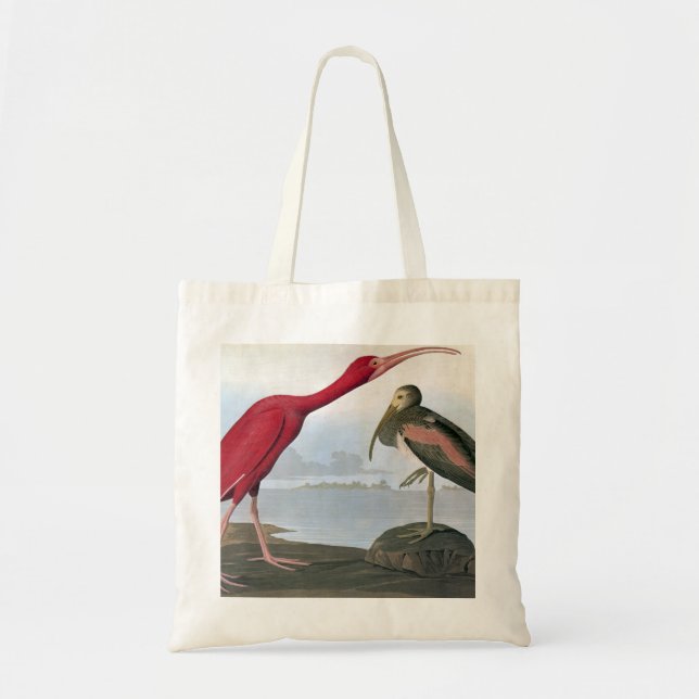 Bolso De Tela Audubon: Escarlata Ibis (Frente)