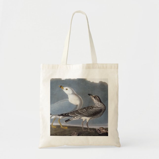 Bolso De Tela Audubon: Gaviota Anillo-Cargada en cuenta (Frente)