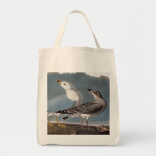 Bolso De Tela Audubon: Gaviota Anillo-Cargada en cuenta