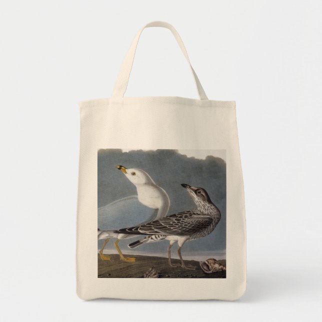 Bolso De Tela Audubon: Gaviota Anillo-Cargada en cuenta (Frente)