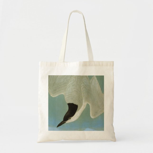 Bolso De Tela Audubon: Golondrina de mar Gaviota-Cargada en (Frente)
