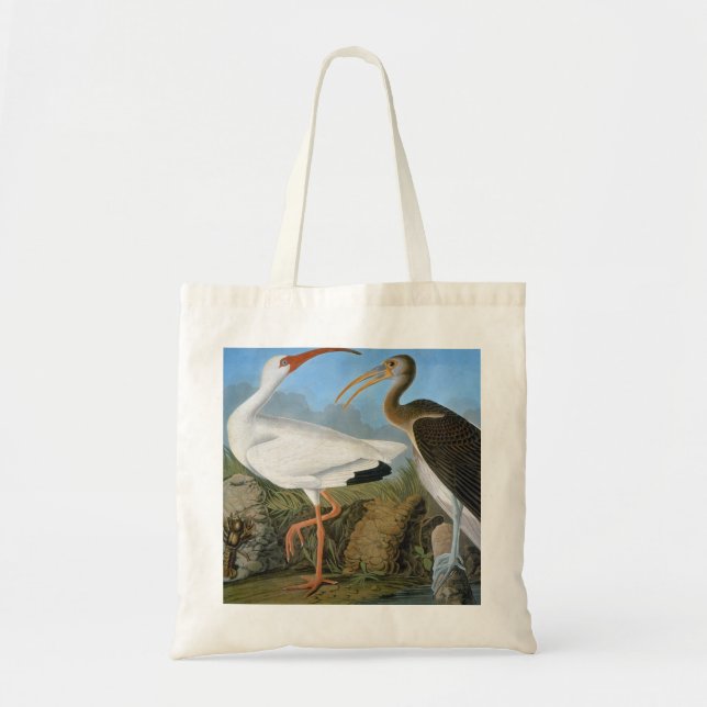 Bolso De Tela Audubon: Ibis blanco (Frente)