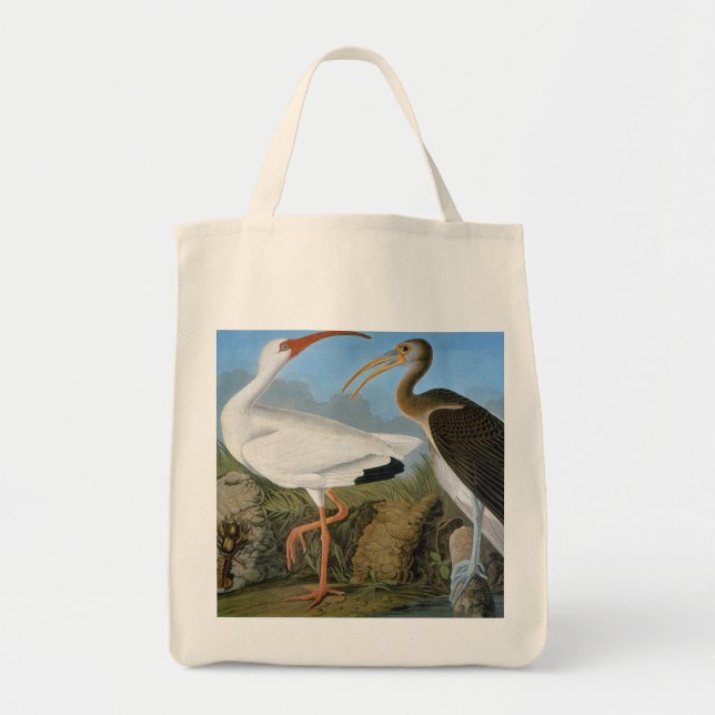 Bolso De Tela Audubon: Ibis blanco (Frente)