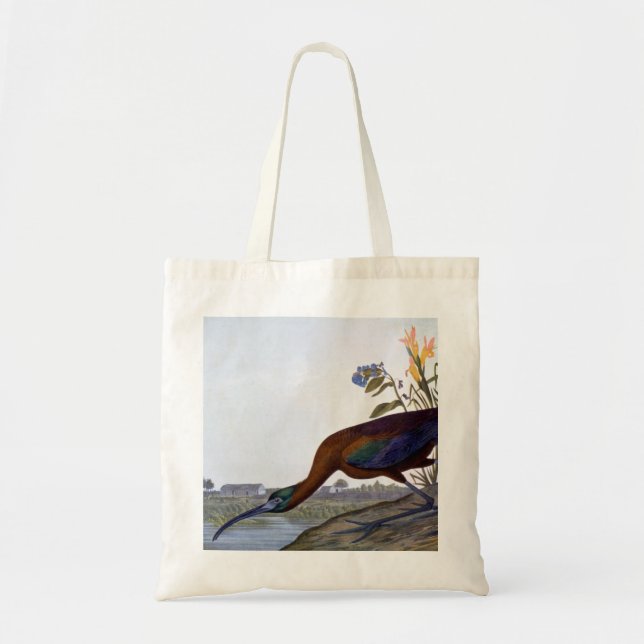 Bolso De Tela Audubon: Ibis brillante (Frente)