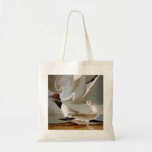 Bolso De Tela Audubon: La gaviota de Bonaparte