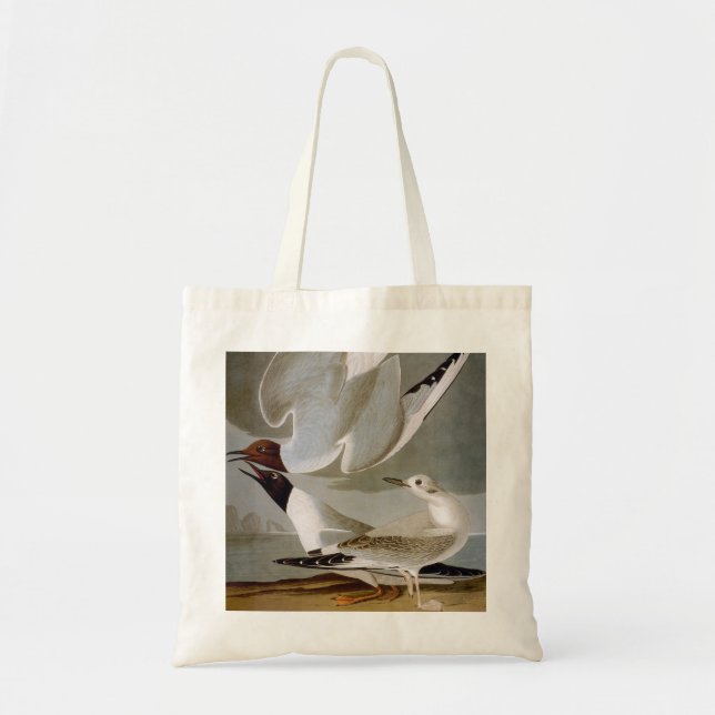 Bolso De Tela Audubon: La gaviota de Bonaparte (Frente)