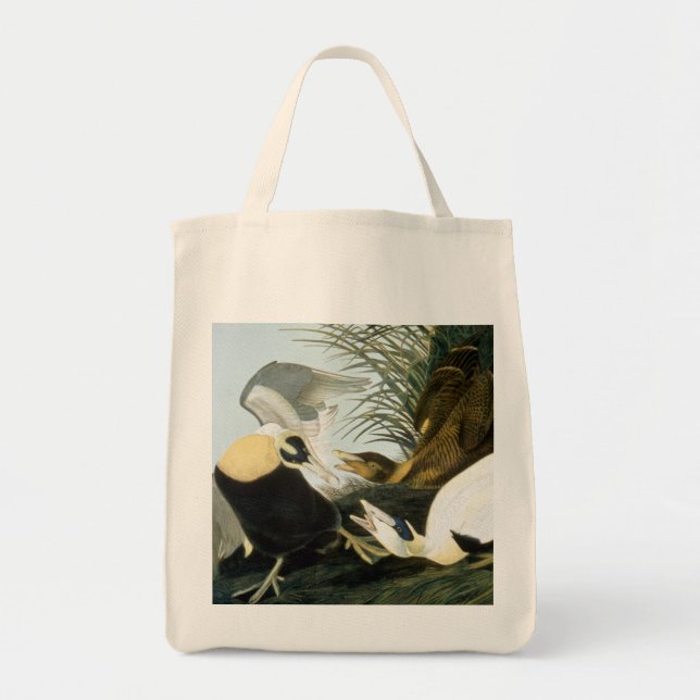 Bolso De Tela Audubon: Pato de eíder (Frente)
