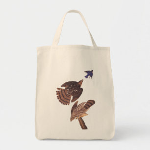 Bolso De Tela Aves de Preya con Audubón de Hawk de Cooper