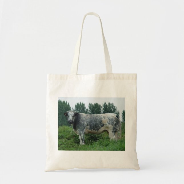 Bolso De Tela Azul belga de vaca (Frente)