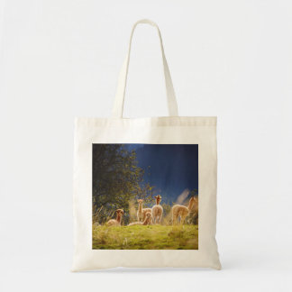 Bolso De Tela Baby Llamas in a Field
