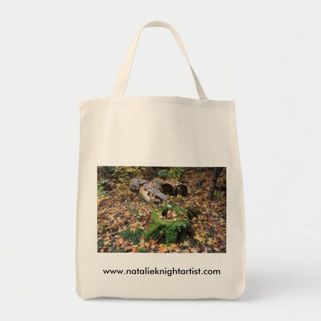 Bolso De Tela Bag2 (Frente)