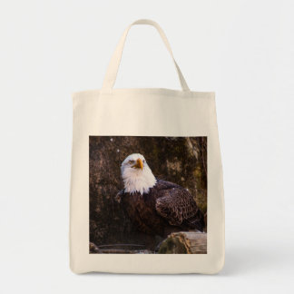Bolso De Tela Bald Eagle