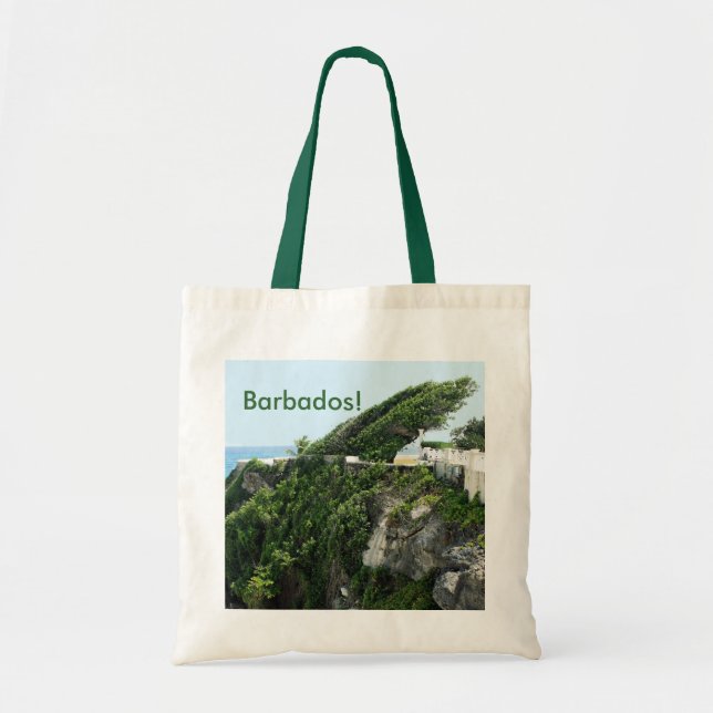 Bolso De Tela Barbados (Frente)