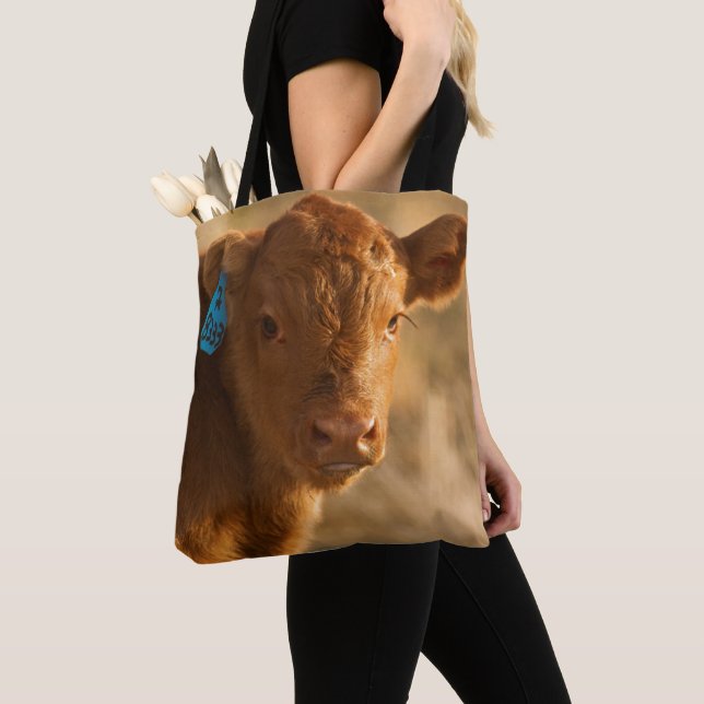 Bolso De Tela Becerro del mestizo (Detalle)