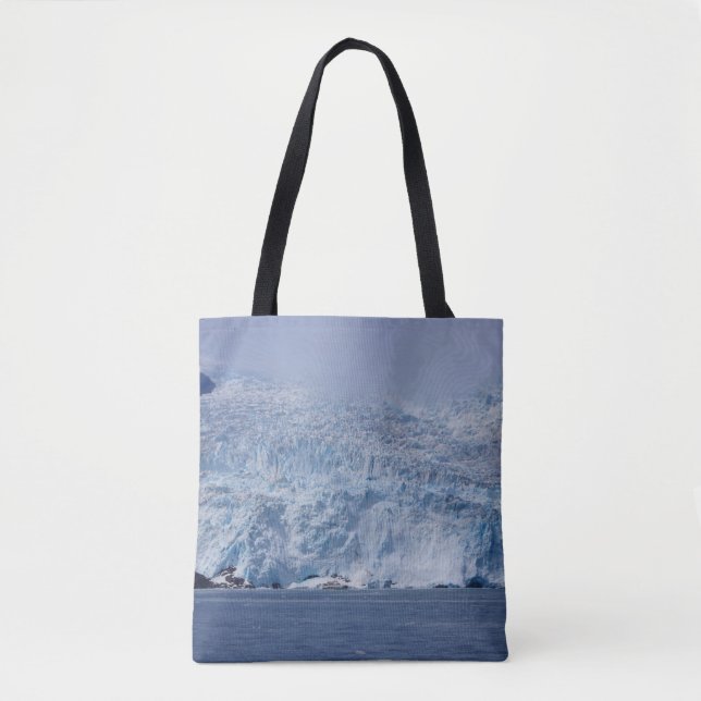 Bolso De Tela Belleza congelada (Anverso)