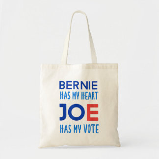 Bolso De Tela Bernie tiene unas elecciones divertidas para 2012