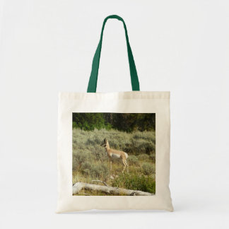 Bolso De Tela Berrendo en el Parque Nacional Grand Teton