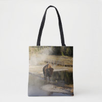 Bison Yellowstone | Fotografía de vida silvestre