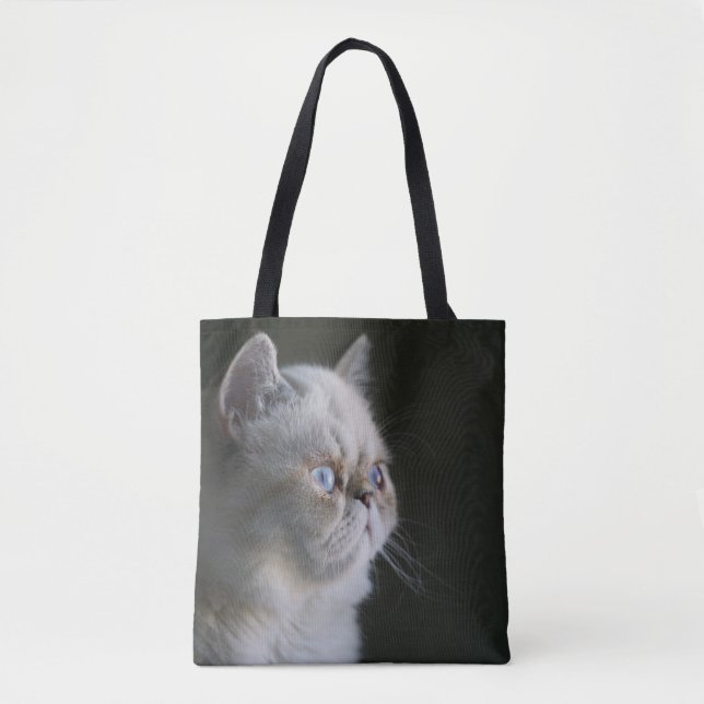 BOLSO DE TELA BLUE GAZE (Anverso)