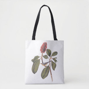 Bolso De Tela Bonaparte Flycatcher Canada Warbler Audubon Bird