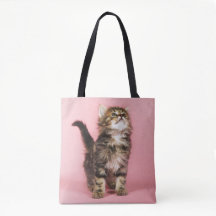 Bonito en gatito rosado