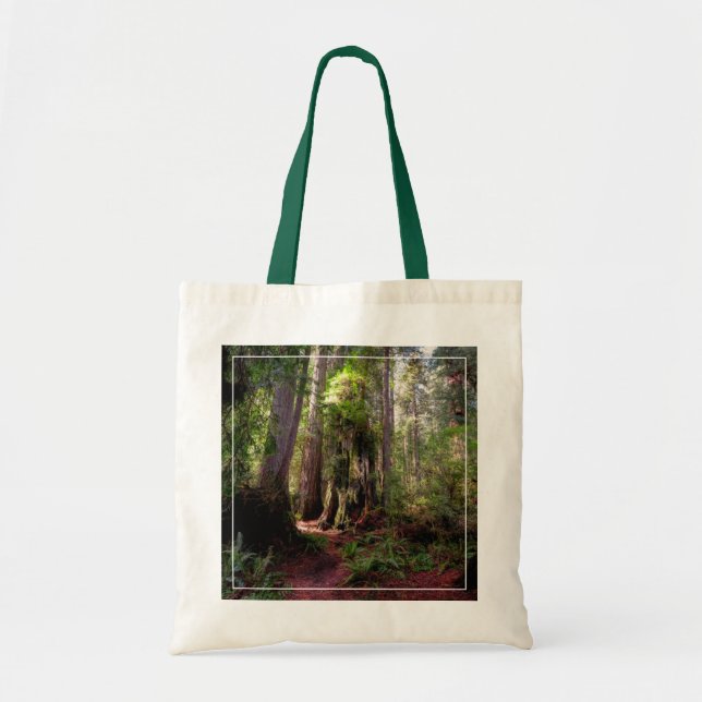 Bolso De Tela Bosques | Redwood Forest California (Frente)