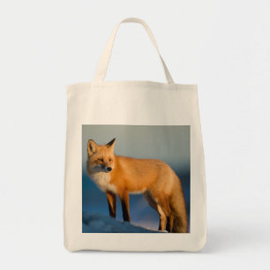 Bolso De Tela Brown Fox Tote Bag