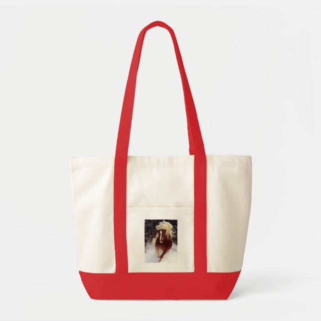 BOLSO DE TELA CABALLO (Frente)