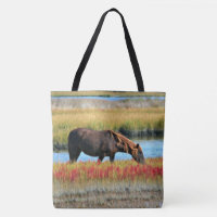 Caballo Marrón Pastando junto a Pradera Acuática