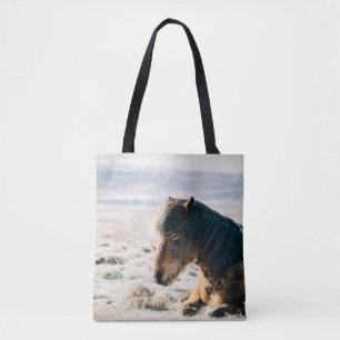 BOLSO DE TELA CABALLO MARRÓN SITUADO EN GRASS CERCA DE LA PLAYA