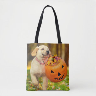 Bolso De Tela Cachorro con cubo de calabaza