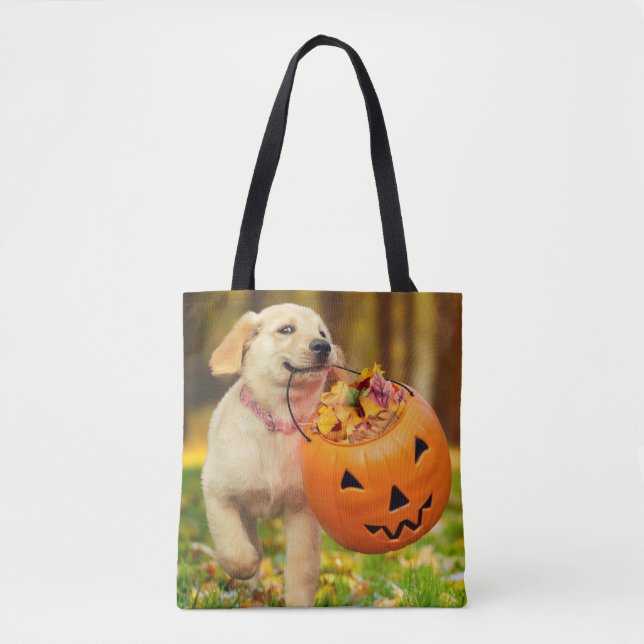 Bolso De Tela Cachorro con cubo de calabaza (Anverso)