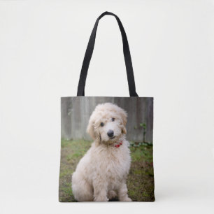 Bolso De Tela Cachorro de goldendodo se sienta en la hierba