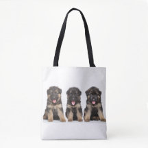 Cachorros de Pastor Alemán