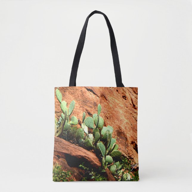 Bolso De Tela Cactus (Anverso)
