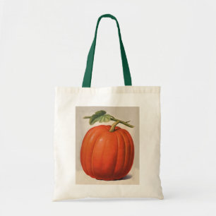 Bolso De Tela Calabaza vintage