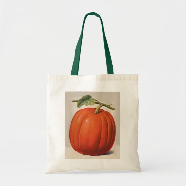Bolso De Tela Calabaza vintage (Frente)